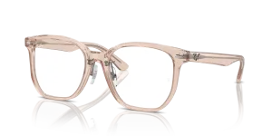 Ray-Ban RX5425D 8267