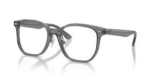 Ray-Ban RX5425D 8268