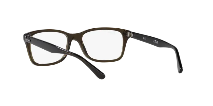 Ray-Ban RX5428 8299