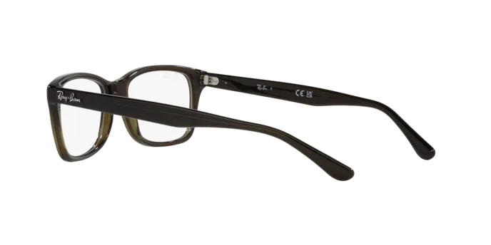 Ray-Ban RX5428 8299