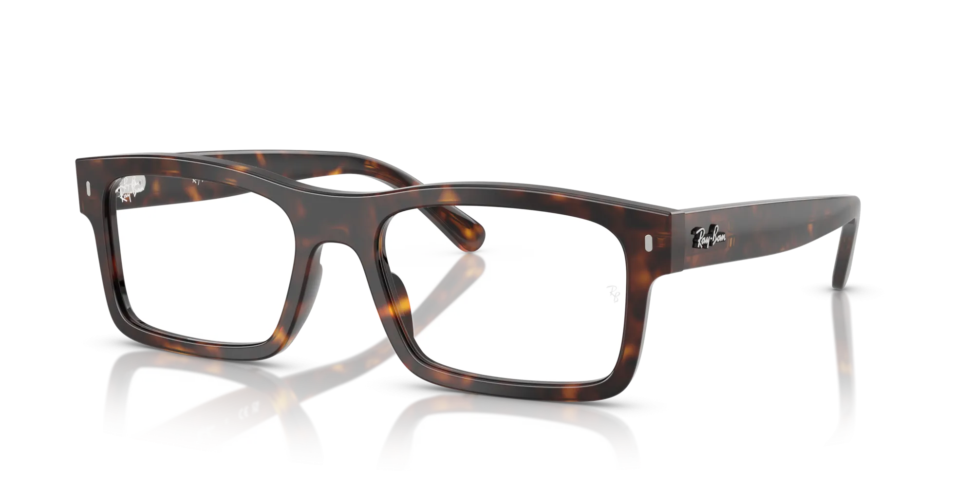 Ray-Ban RX5435 2012