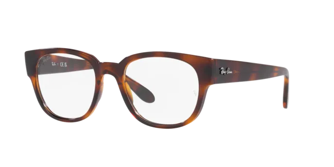 Ray-Ban RX7210 2012