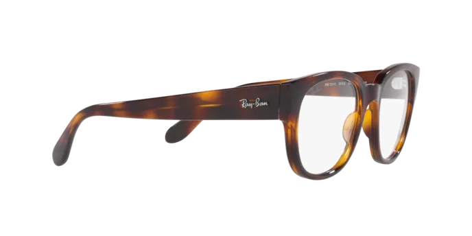 Ray-Ban RX7210 2012