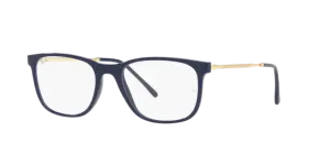 Ray-Ban RX7244 8100