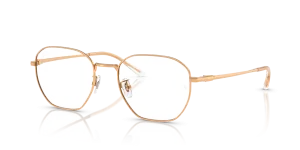 Ray-Ban RX8777D 1248
