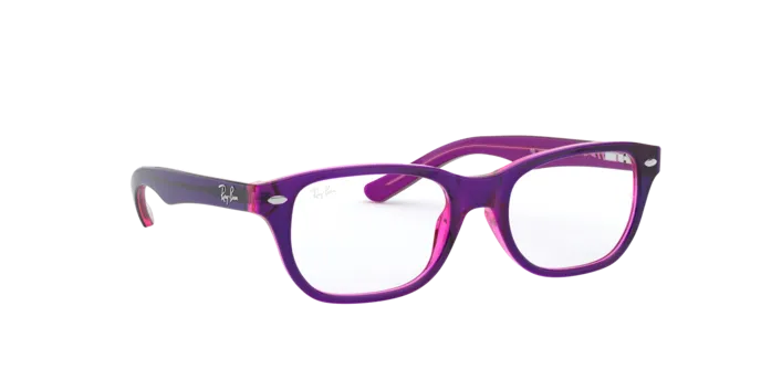 Ray-Ban RY1555 3666