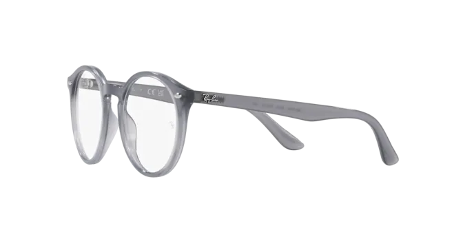 Ray-Ban RY1594 3939