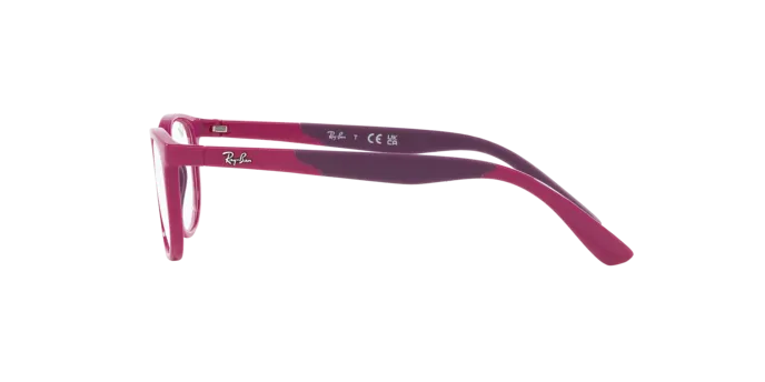 Ray-Ban RY1622 3933