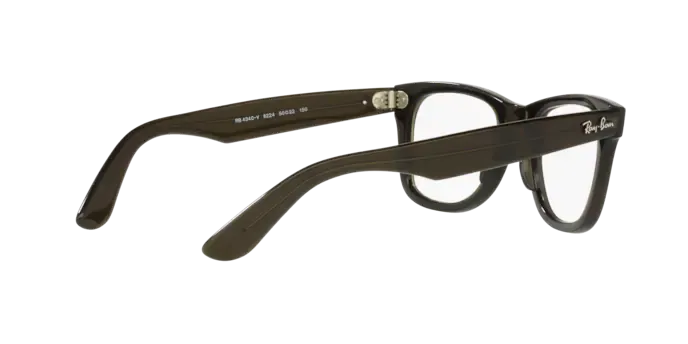 Ray-Ban Wayfarer Ease RX4340V 8224