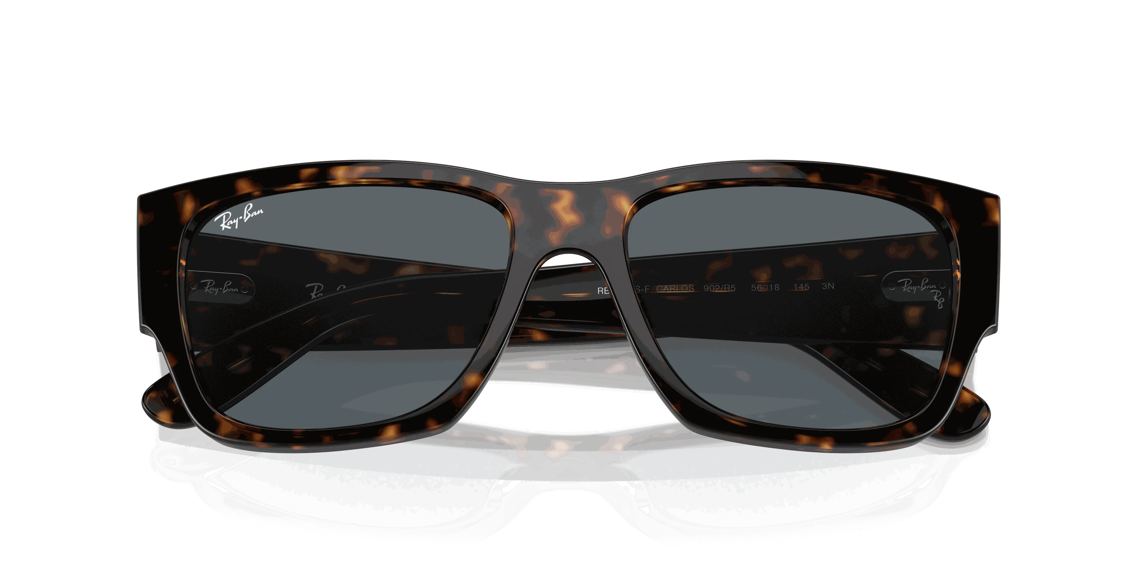 RayBan CARLOS