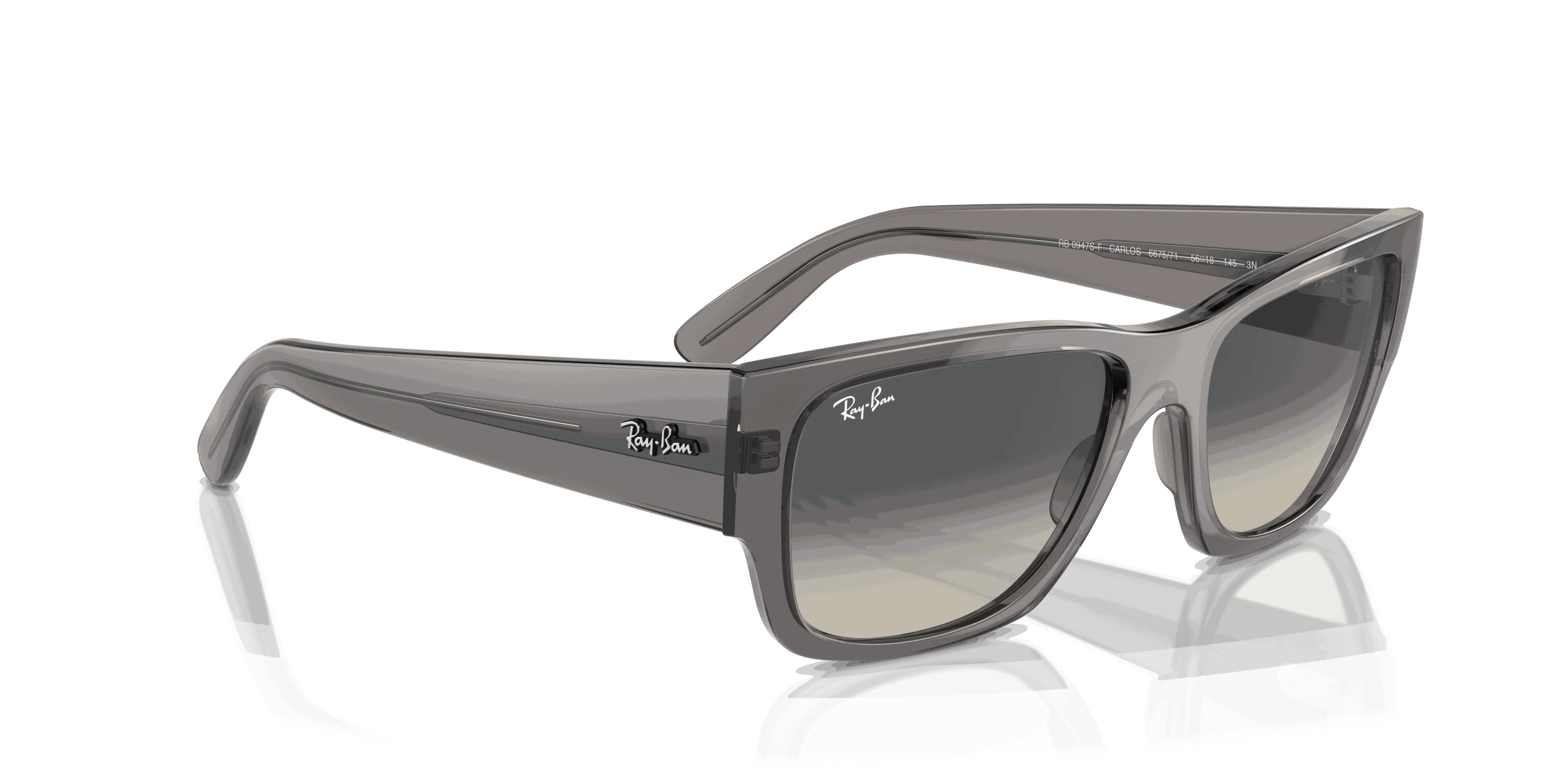 RayBan CARLOS