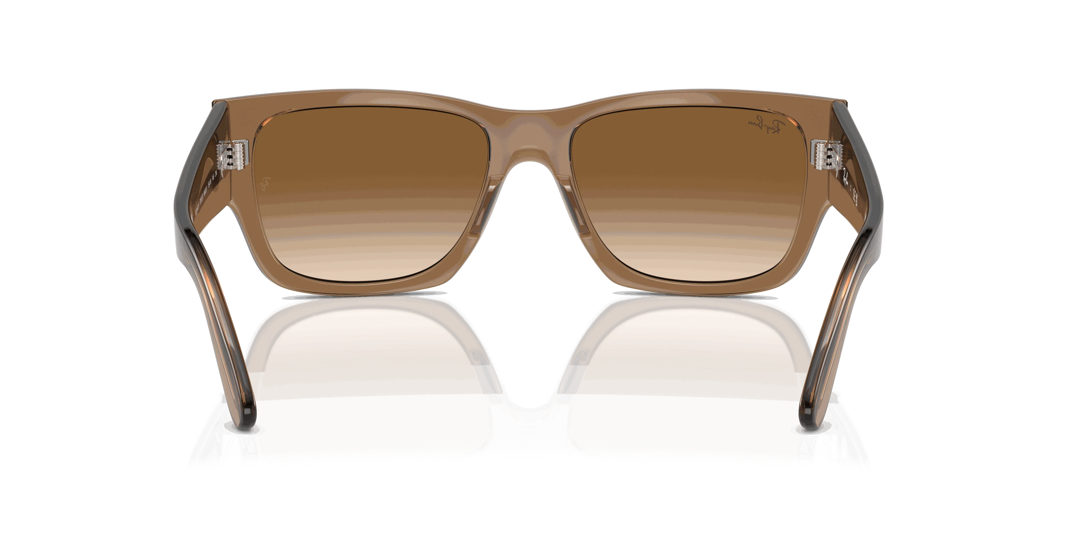 RayBan CARLOS