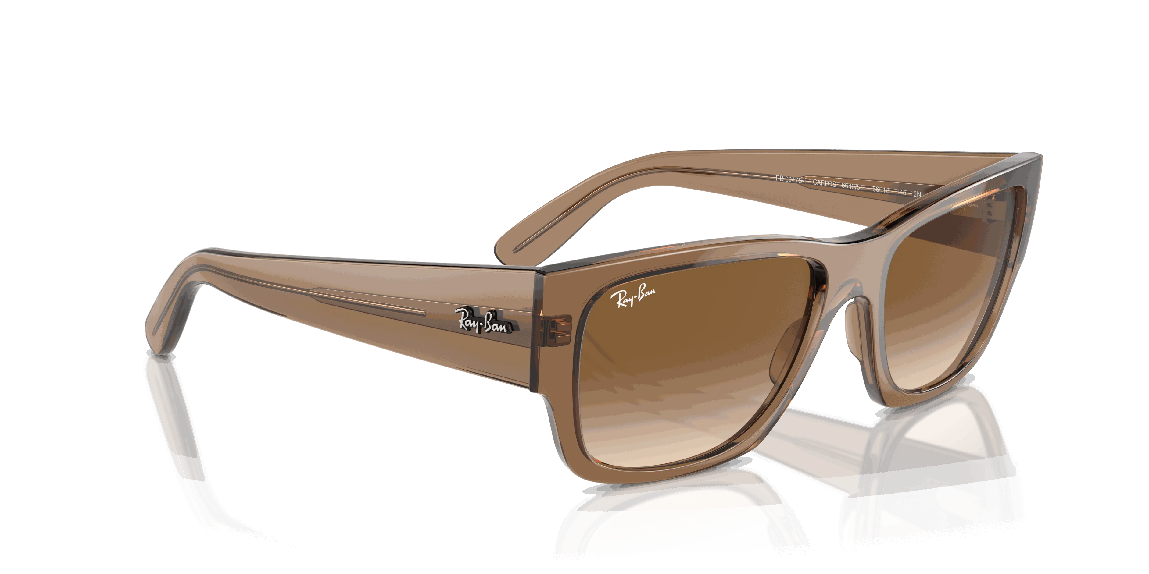 RayBan CARLOS