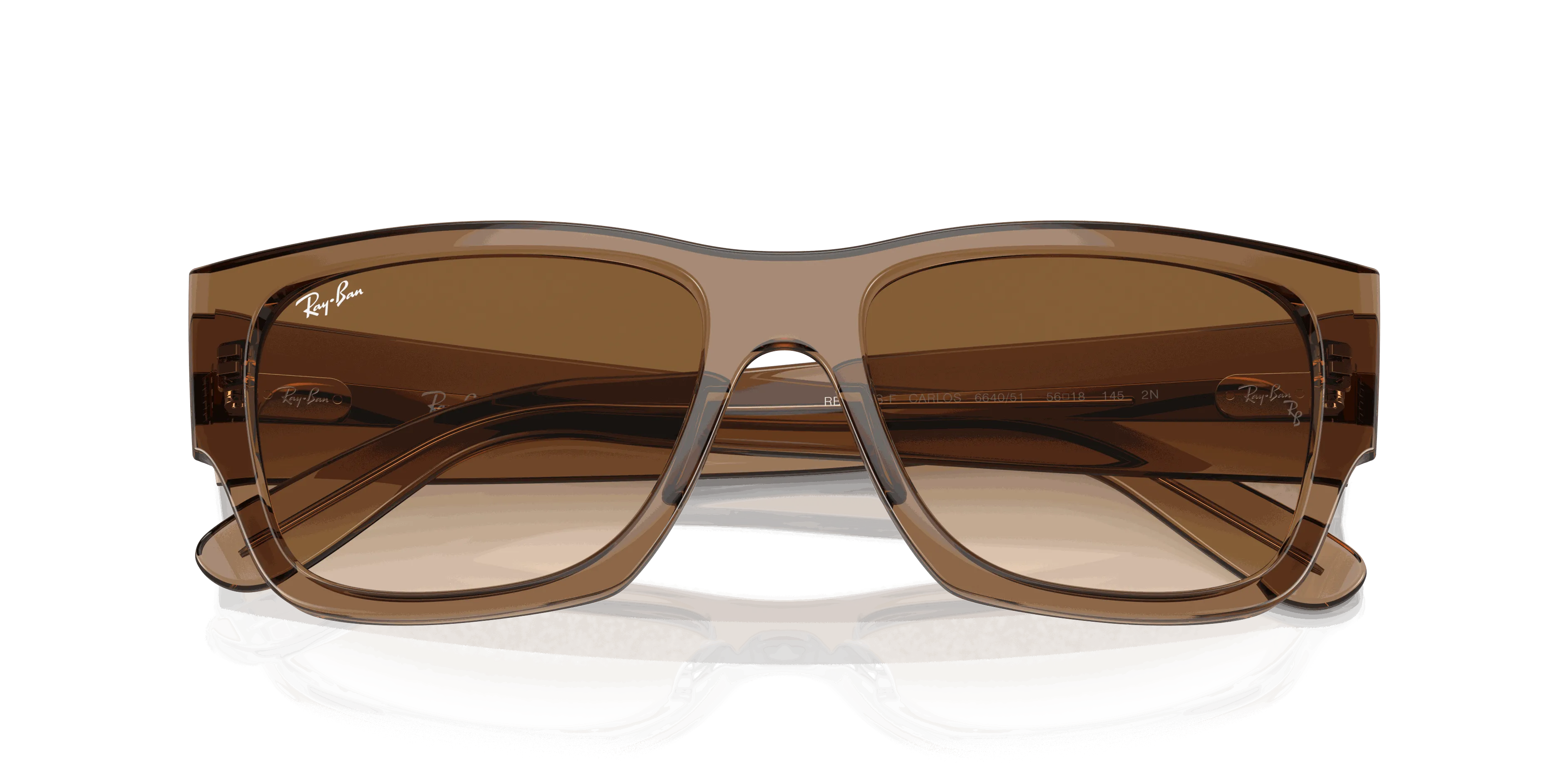 RayBan CARLOS