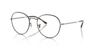 RayBan DAVID OPTICS