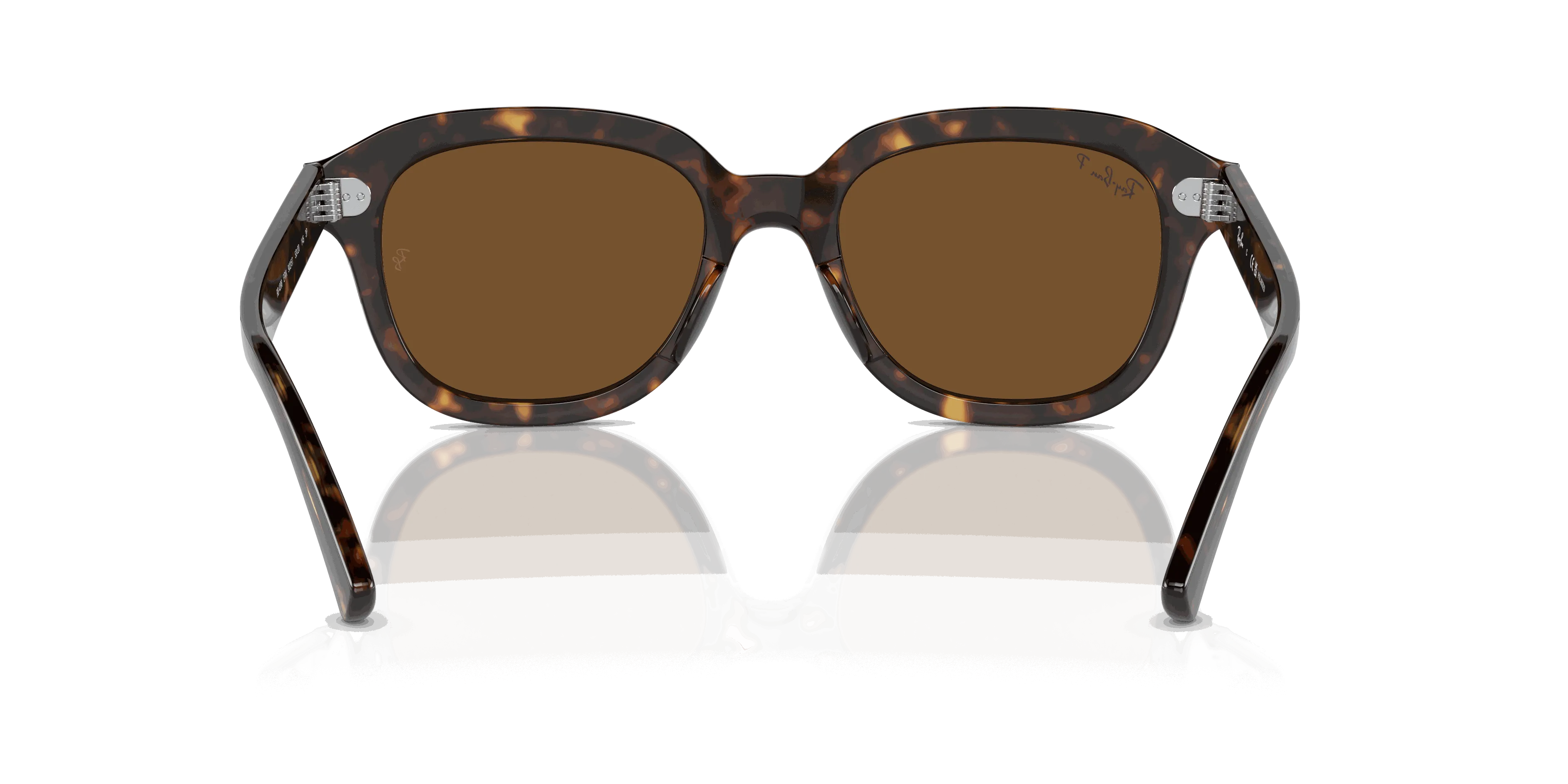 RayBan ERIK