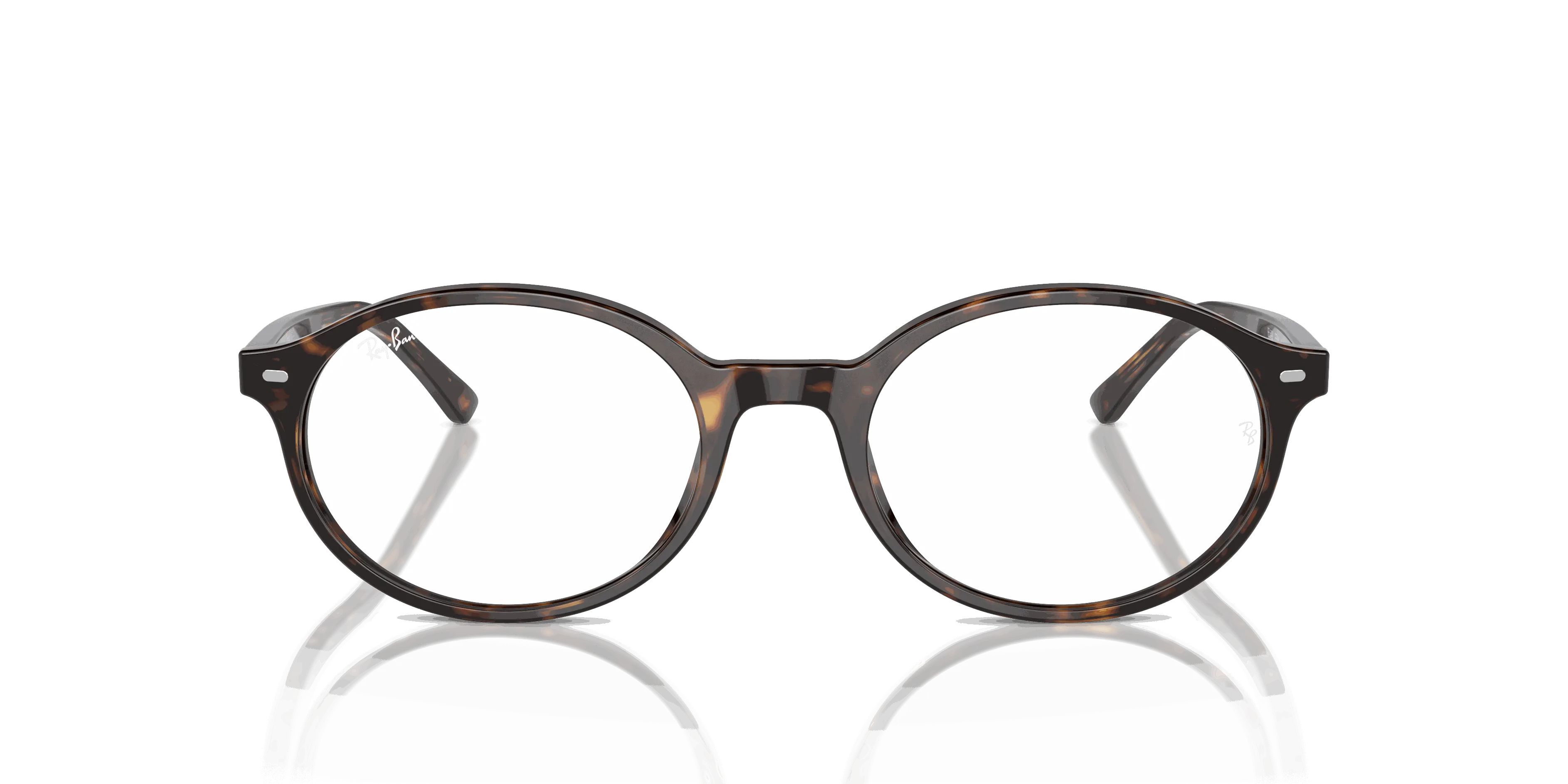 RayBan GERMAN OPTICS