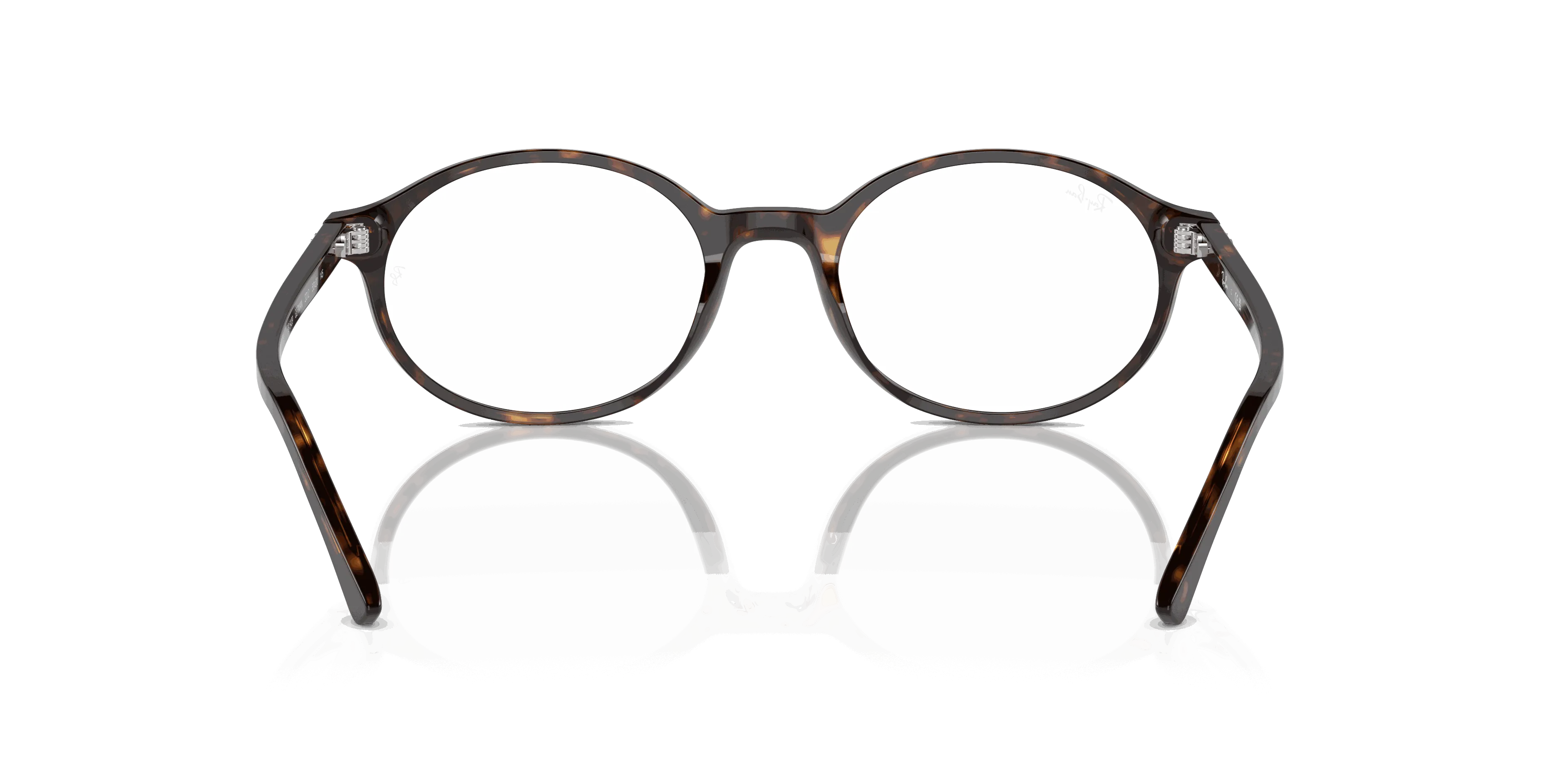 RayBan GERMAN OPTICS
