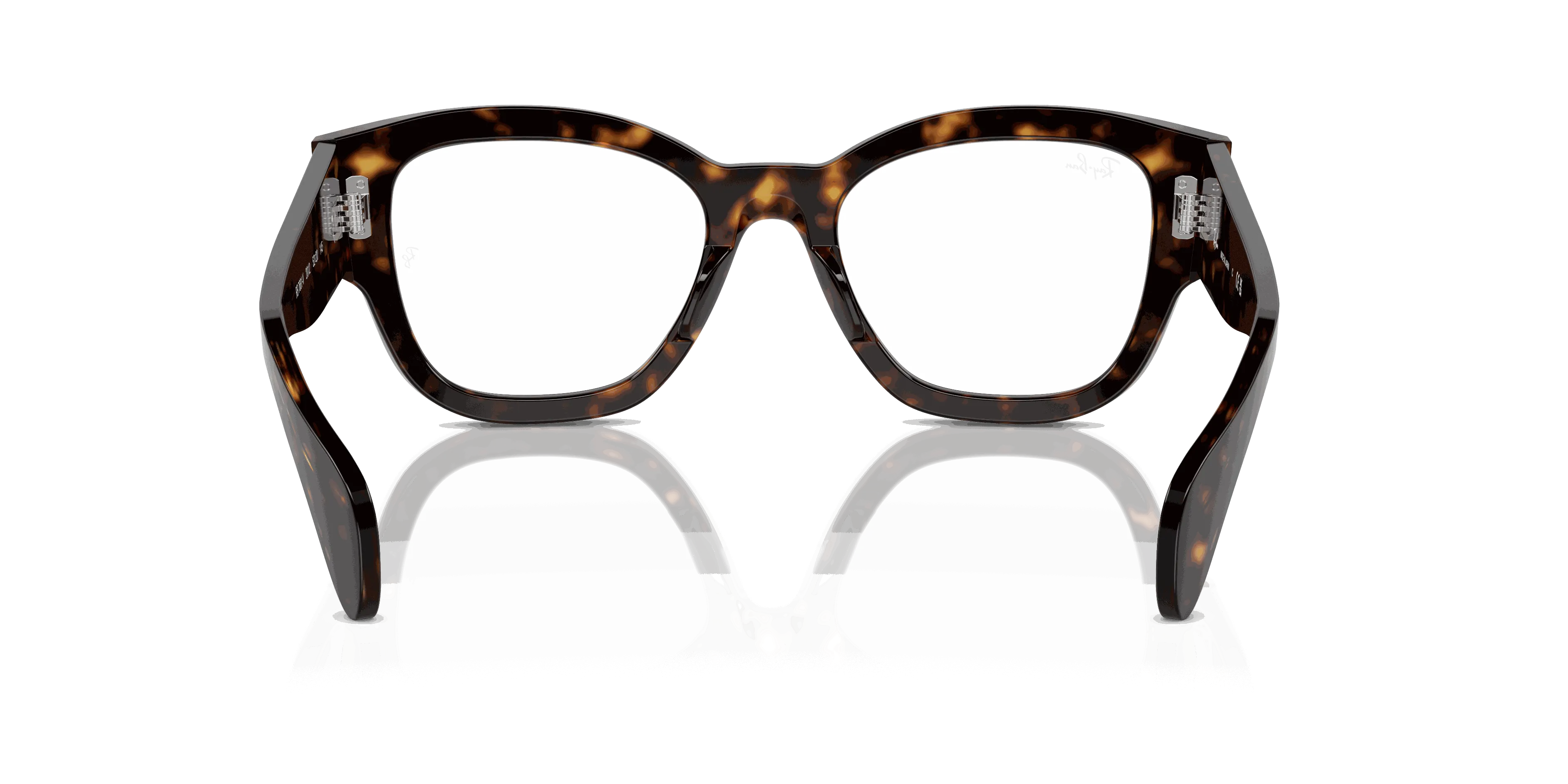 RayBan JORGE OPTICS