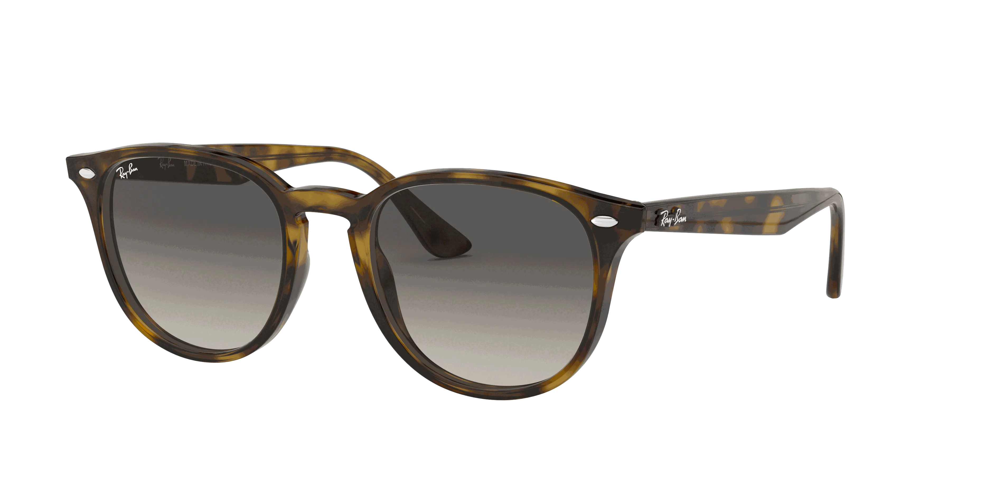 RayBan RB4259
