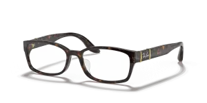 RayBan RB5198 OPTICS