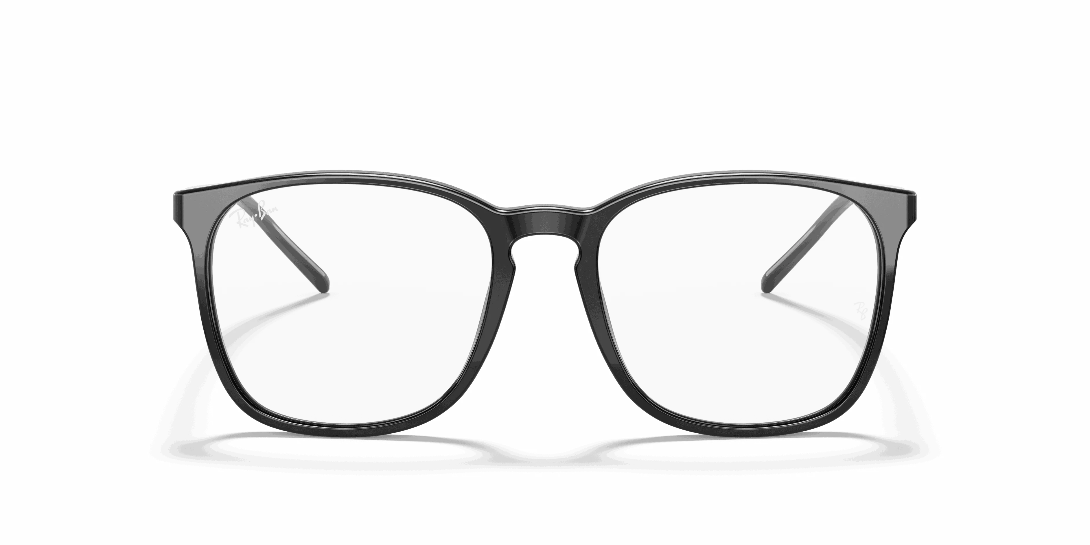 RayBan RB5387 OPTICS