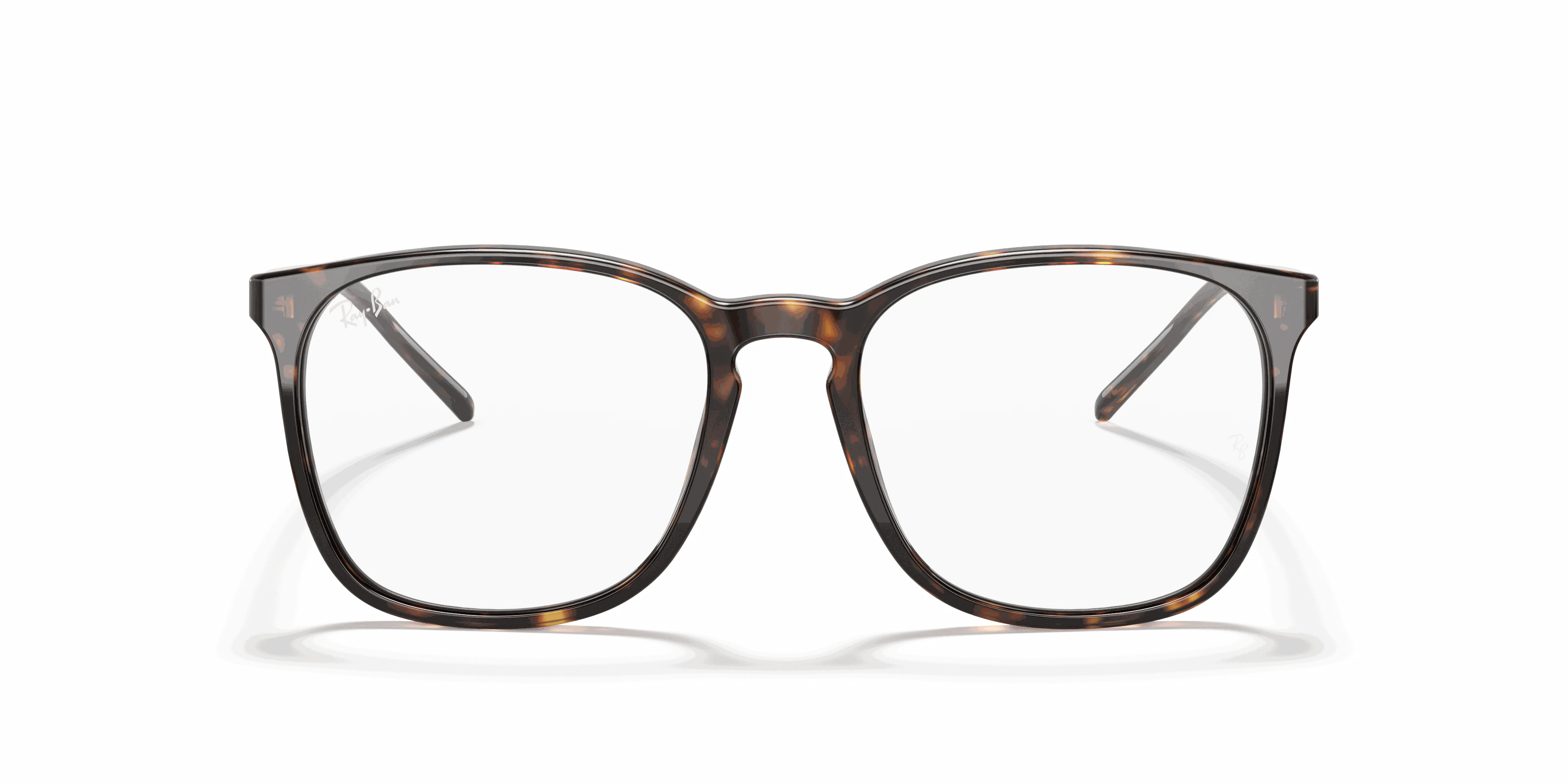 RayBan RB5387 OPTICS
