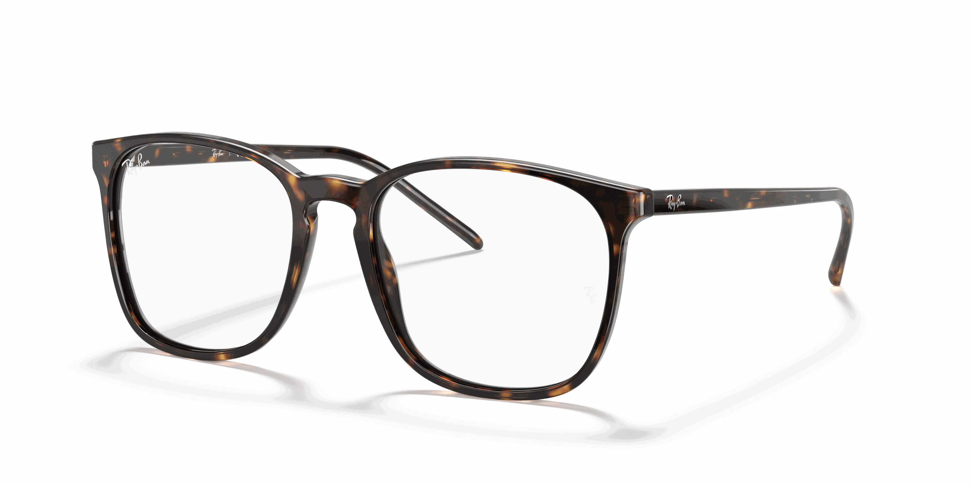 RayBan RB5387 OPTICS