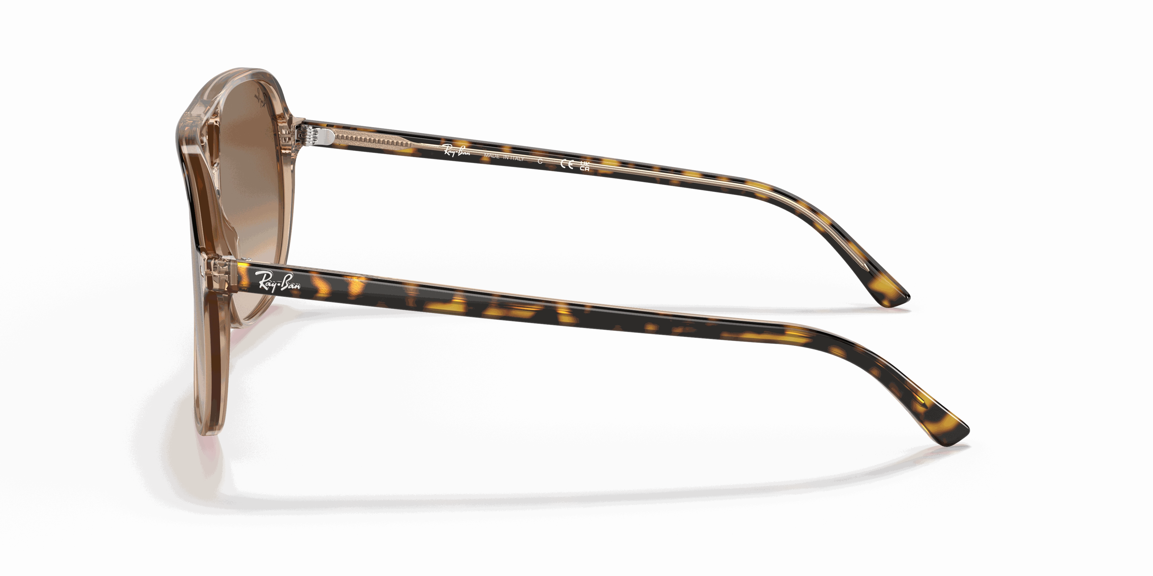 RayBan BILL