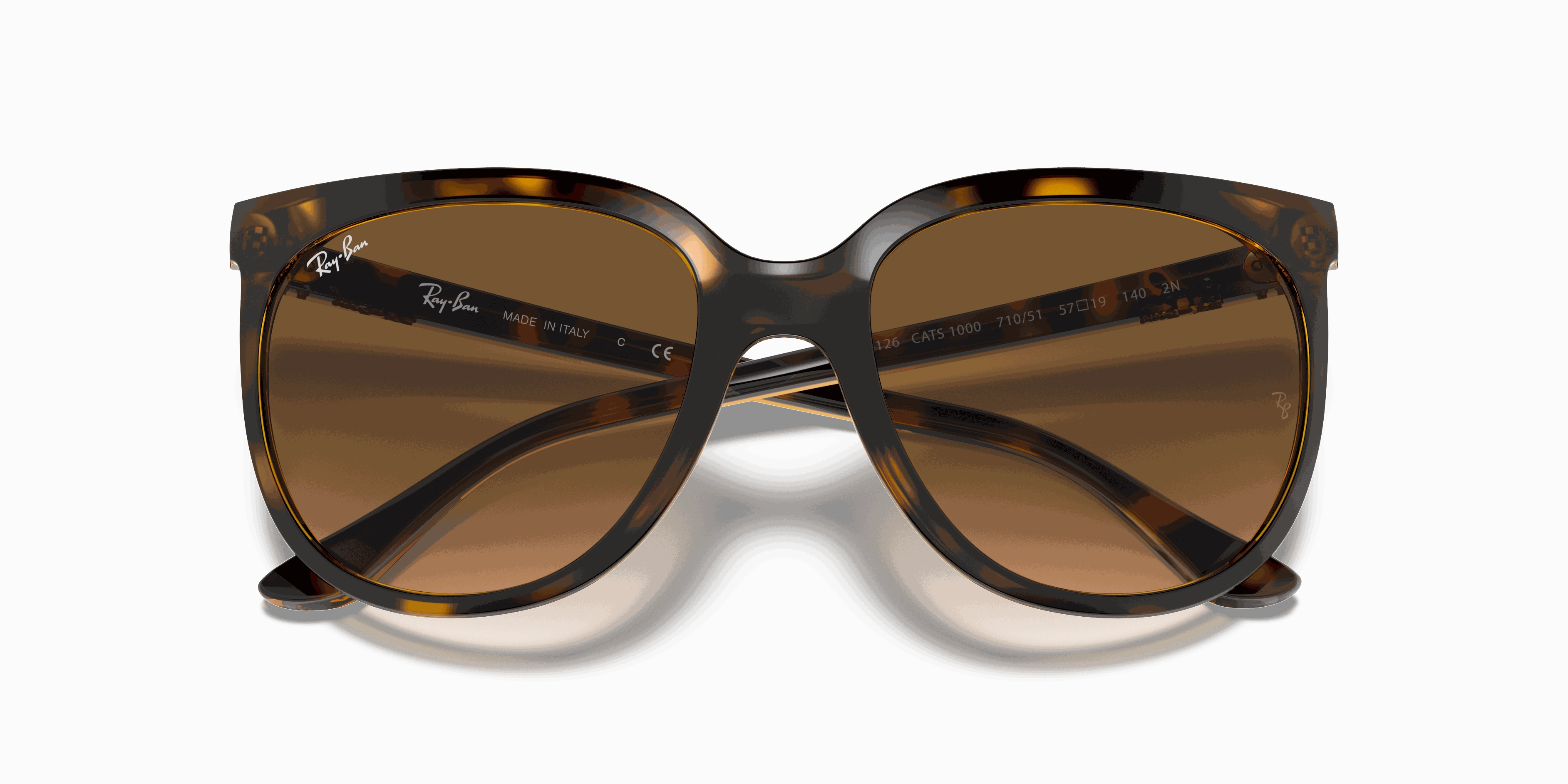RayBan CATS 1000