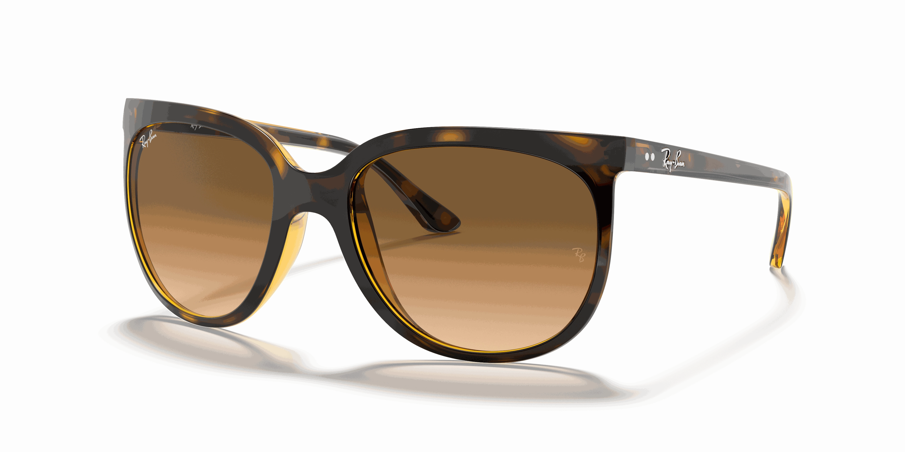 RayBan CATS 1000