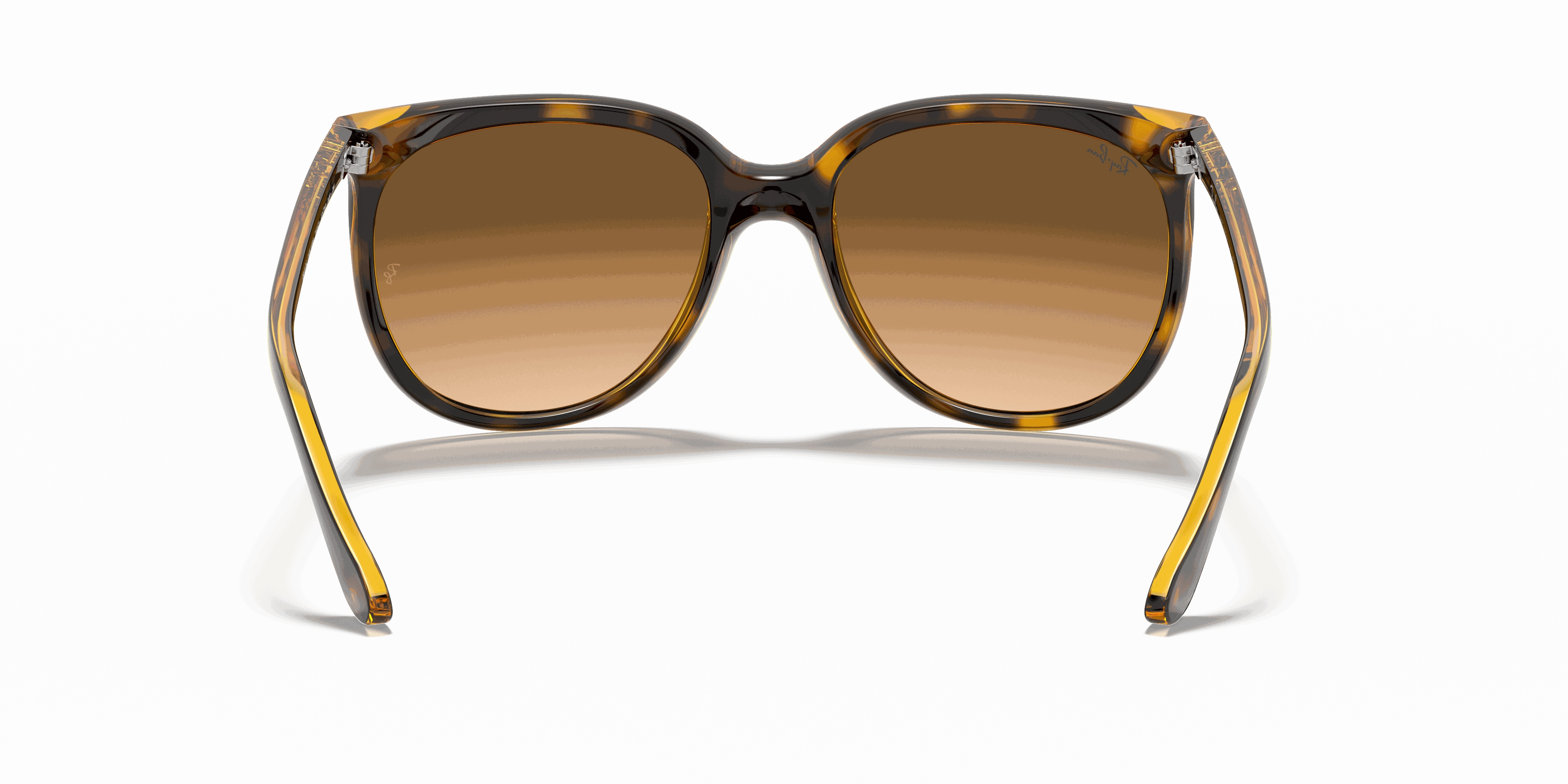 RayBan CATS 1000