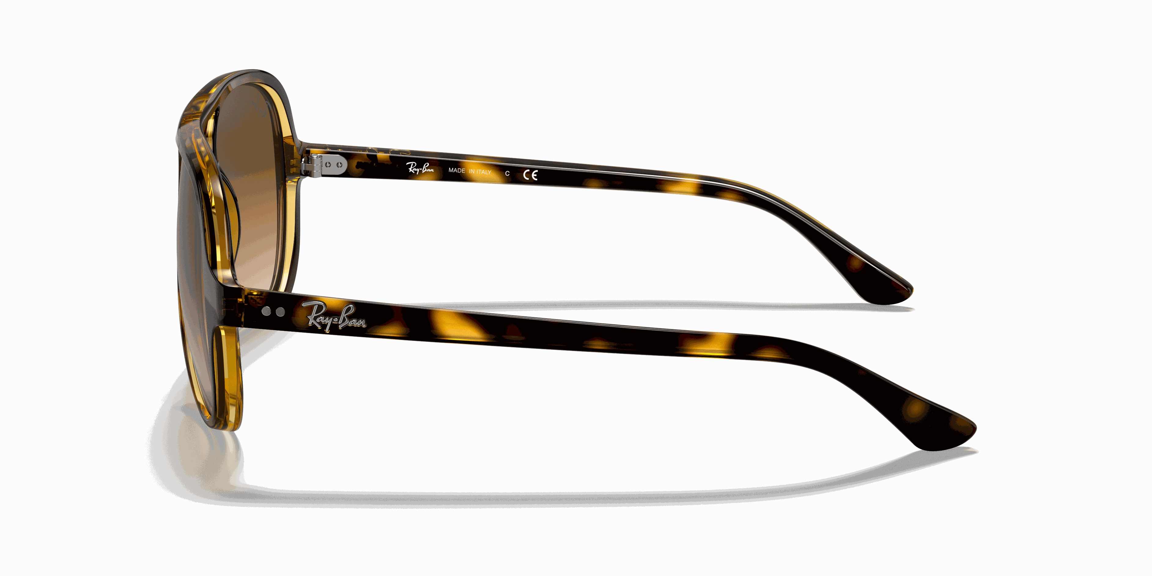 RayBan CATS 5000 CLASSIC