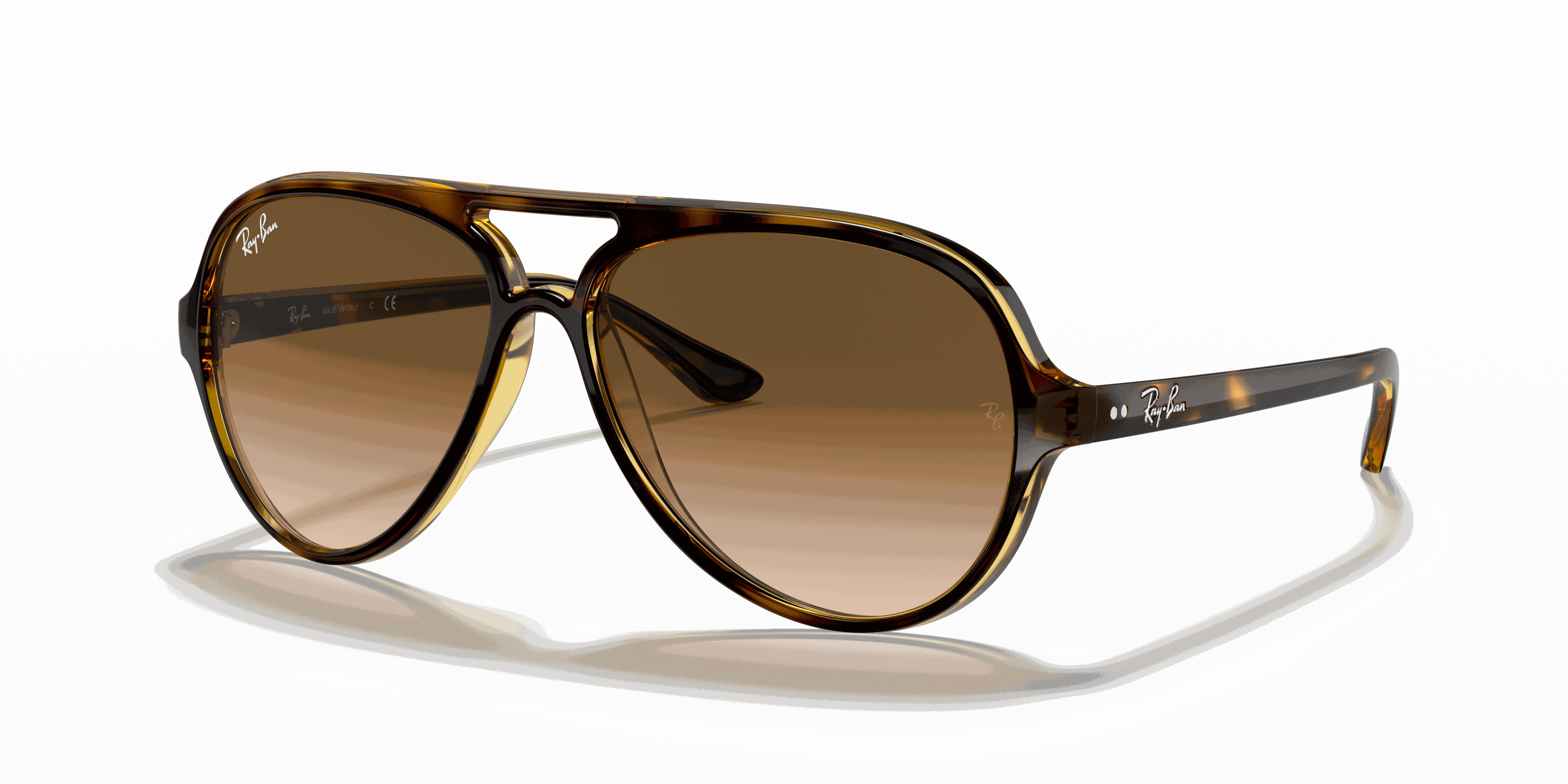 RayBan CATS 5000 CLASSIC