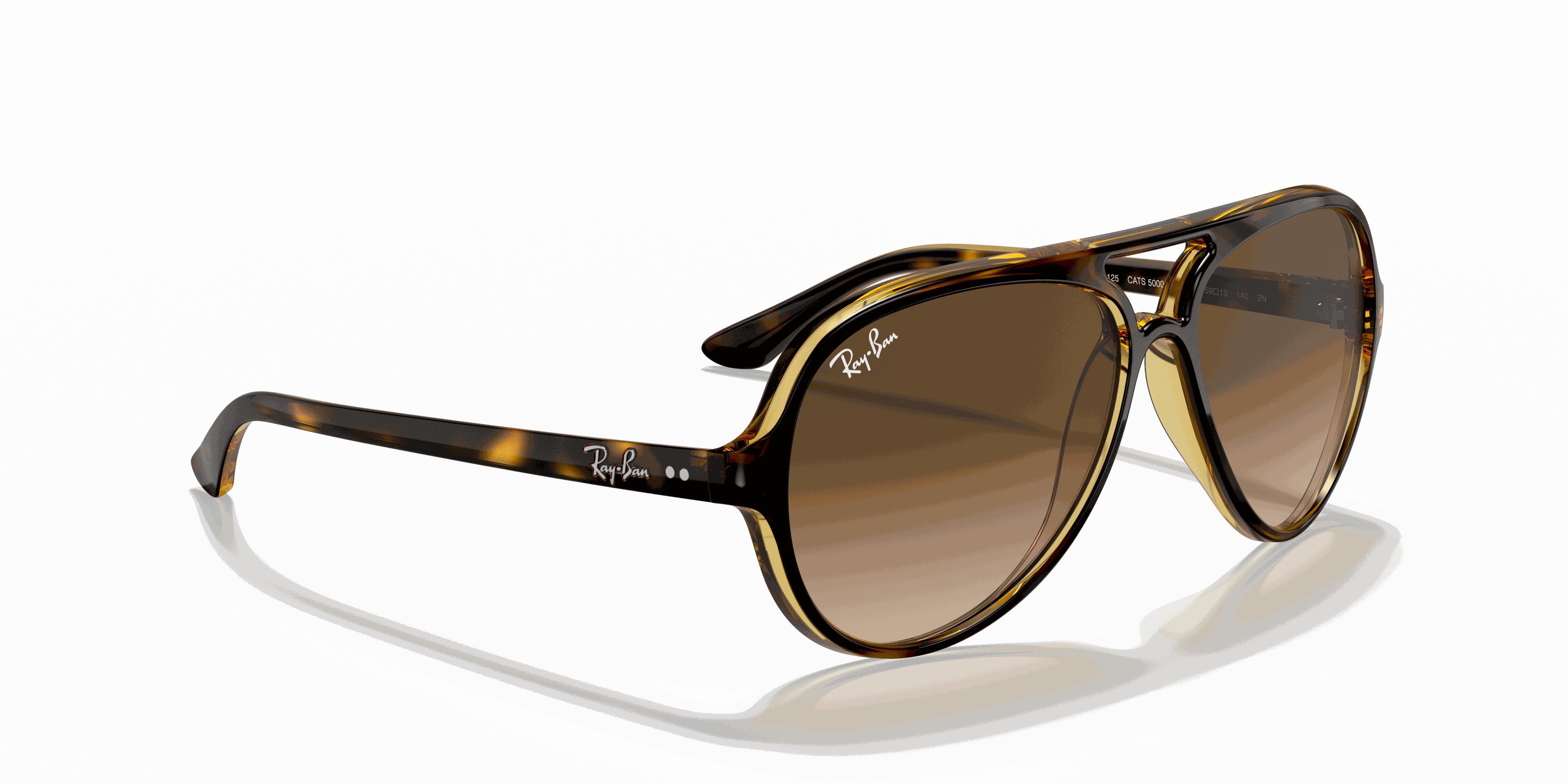 RayBan CATS 5000 CLASSIC