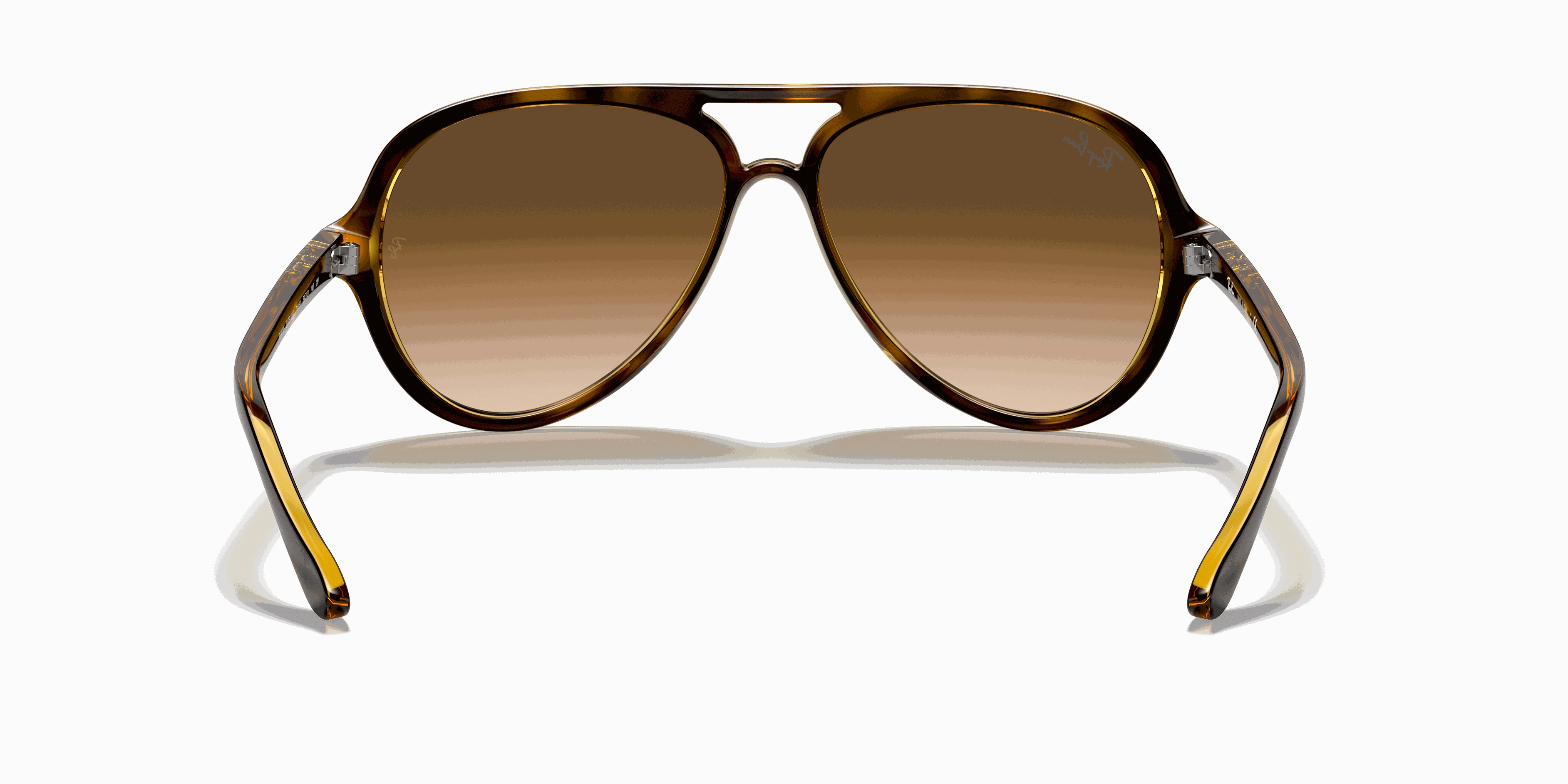 RayBan CATS 5000 CLASSIC