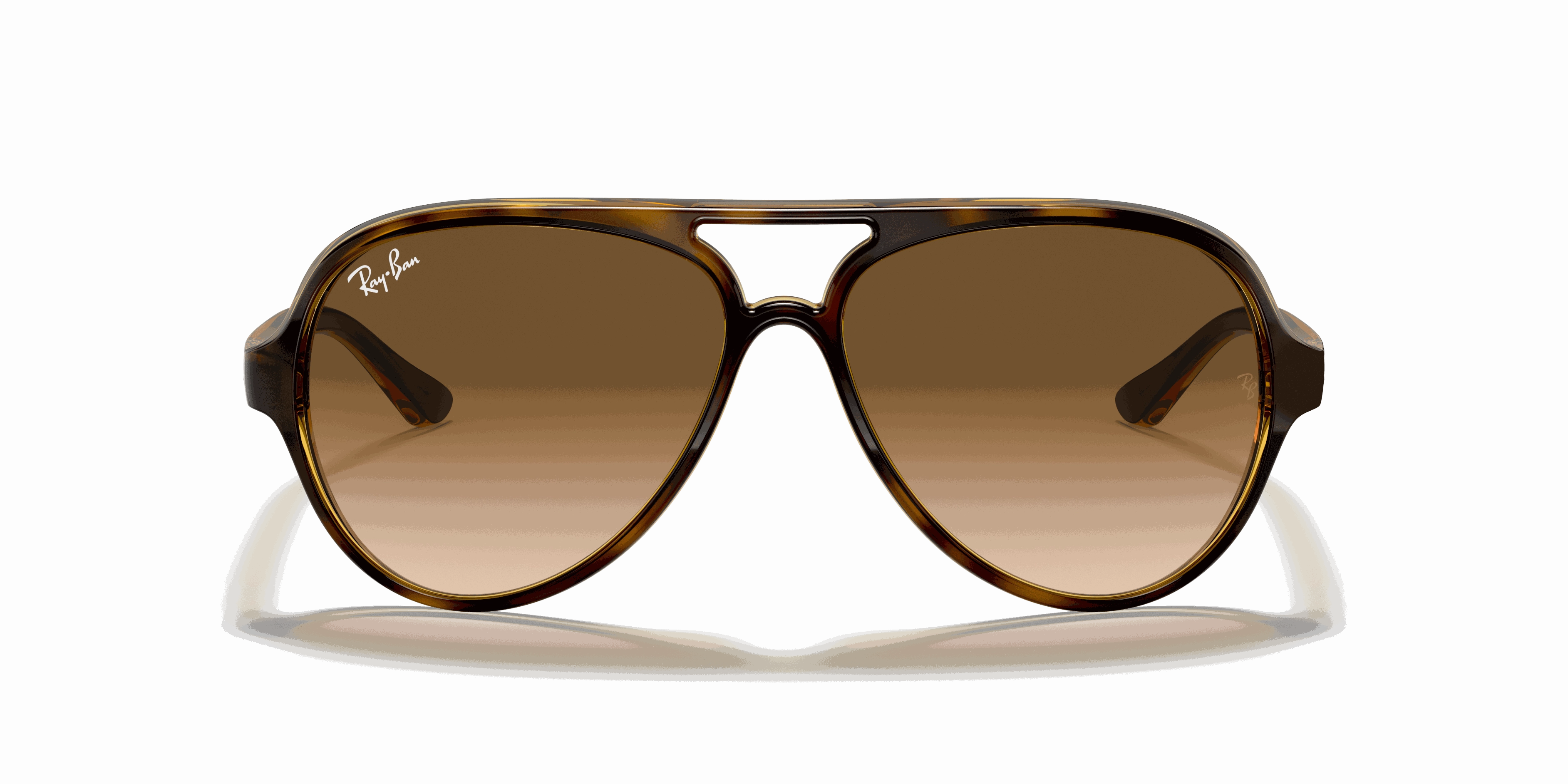 RayBan CATS 5000 CLASSIC