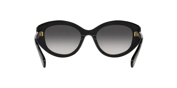Swarovski SK6005 10018G