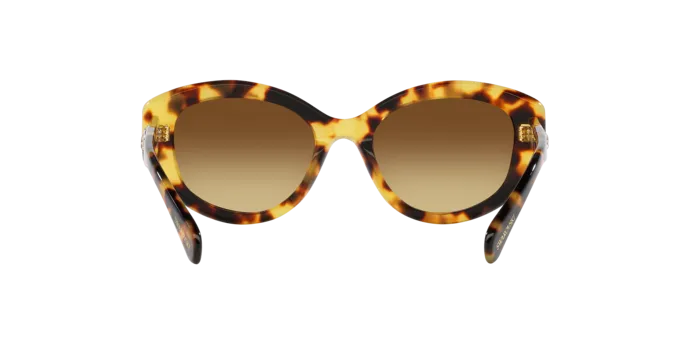 Swarovski SK6005 100913
