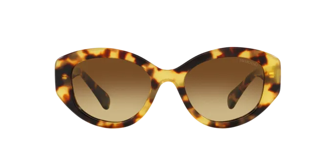 Swarovski SK6005 100913