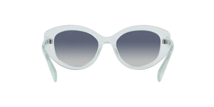 Swarovski SK6005 10244L