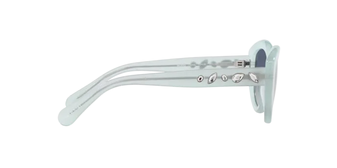 Swarovski SK6005 10244L