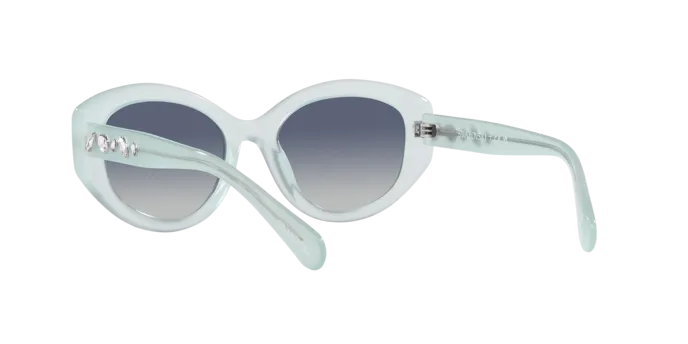 Swarovski SK6005 10244L