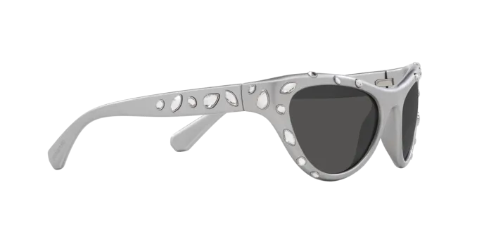 Swarovski SK6007 102187