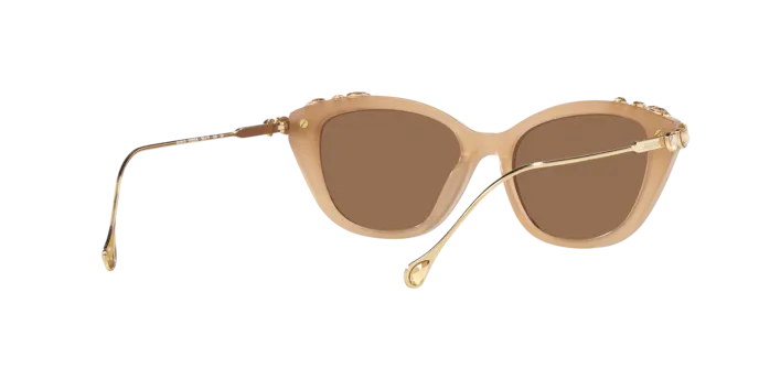 Swarovski SK6010 2002OK