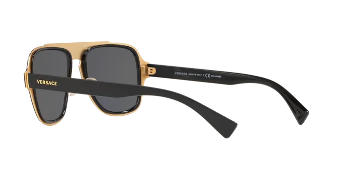Versace VE2199 100281