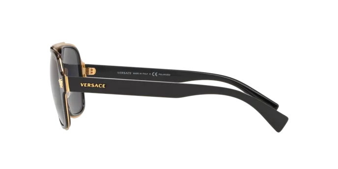 Versace VE2199 100281