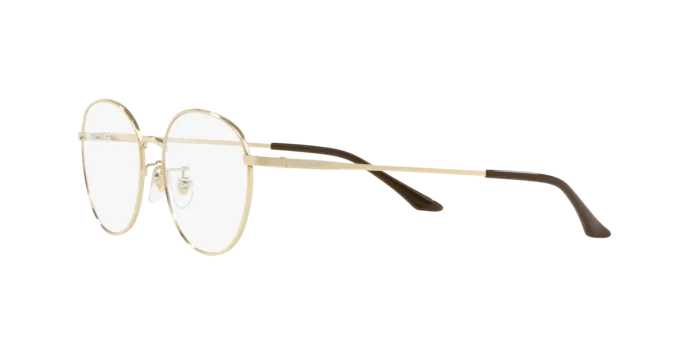 Vogue Eyewear VO4116D 848