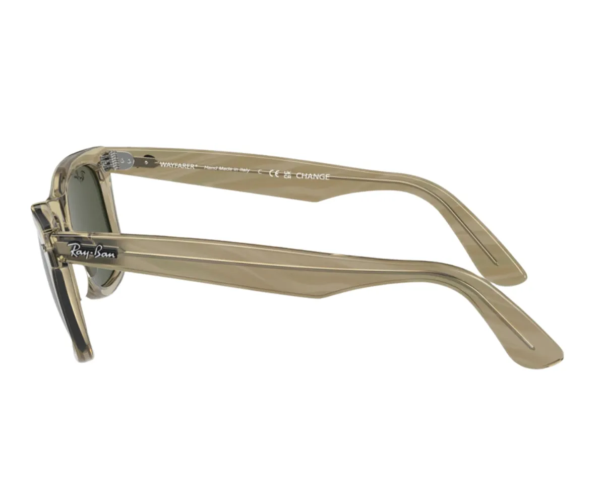 WAYFARER 2140 1387/31 50