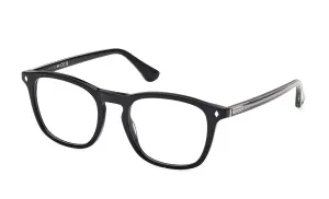 Web WE5386 005